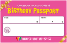 Birthday Passport