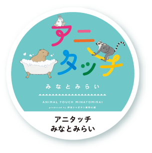 アニタッチみなとみらい